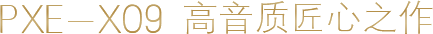 PXE-X09 高音質(zhì)匠心之作 